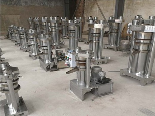 full-automatic hydraulic oil press wiht stainless steel in tanzania