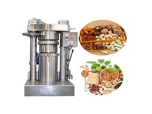 china 2024 new walnut oil machine automatic hydraulic sesame oil