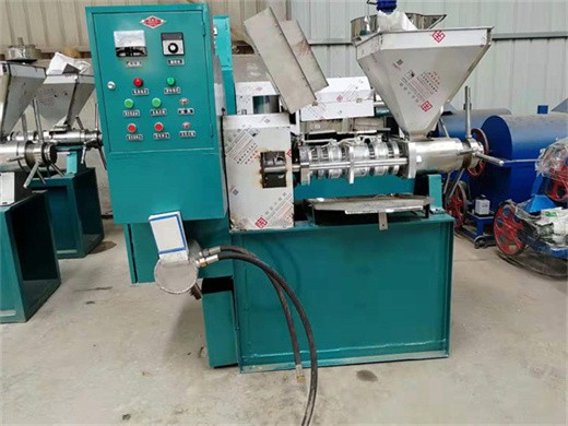 china 1-1.5ton/h big screw soybean groundnut oil expeller