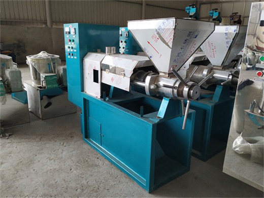 commercial use cold press grape argan seed oil extraction machine