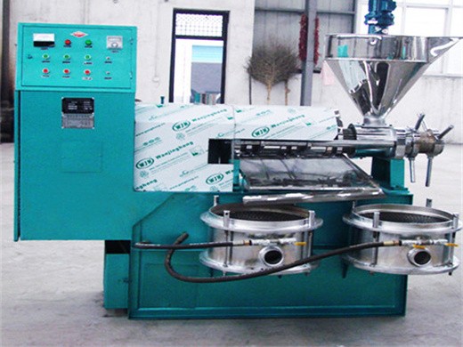 factory direct price soybean oil extraction machine in turkey