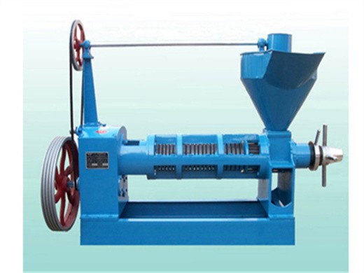 china big rapeseed oil extractor machine china oil in lesotho