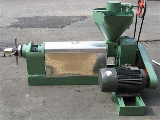 walnut oil extracting machine walnut oil extracting in ghana