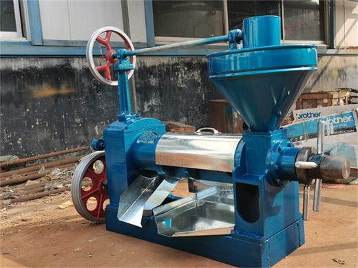 6yl series corn germ oil press machine in cameroon oil