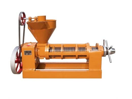 china 200kg per hour safflower seed oil press machine oil