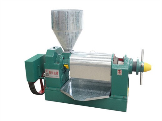 high quality large seed oil press machine oil extraction machine