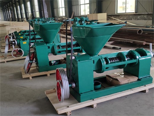 high capacity nut seed oil expeller/oil press machine/oil making machine