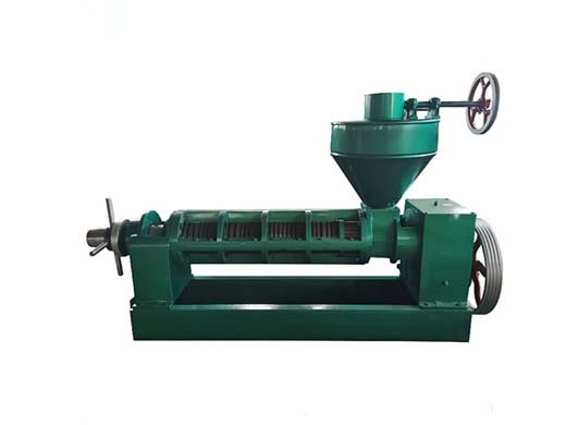 seed oil extraction machine automatic oil press machine in benin