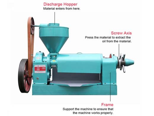 desktop type flaxseed linseed oil press machine tabletop in south african