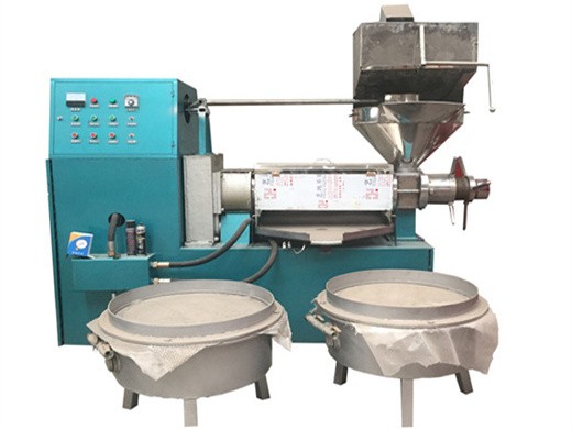 cold press oil machine india pumpkin seeds oil press machine