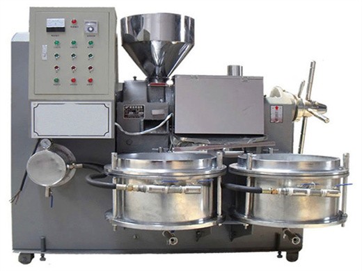 hot sale commercial use 3.5kg/h big oil press machine in nepal