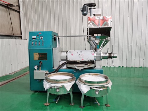 commercial automatic screw seeds walnut oil extraction machine