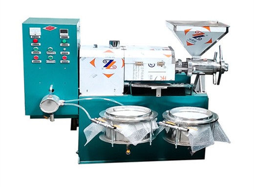 330kgh peanut sesame sunflower soybea oil press machine in cameroon