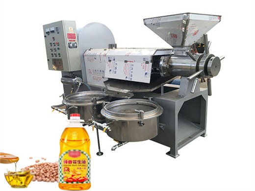 hukoer automatic oil press machine stainless steel extractor