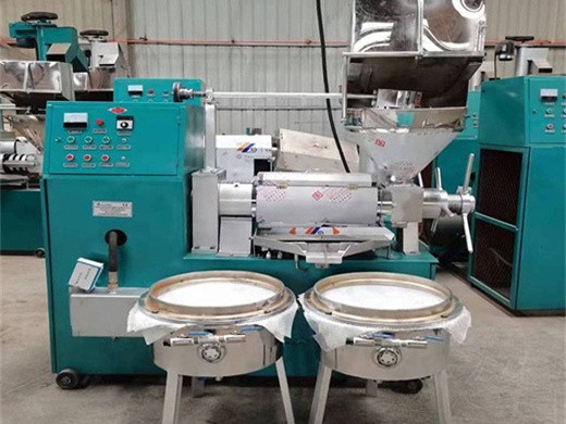 high efficiency repesseed oil expeller press in philippines