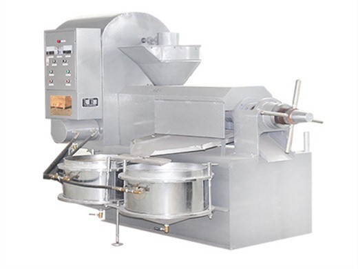 professional sesame oil extractor workshop machine oil in philippines