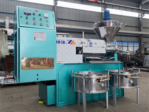 high efficiency corn germ oil press machine with cold/hot type