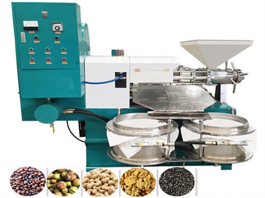 as398 competitive price tea seed oil machine tea seed in moldova