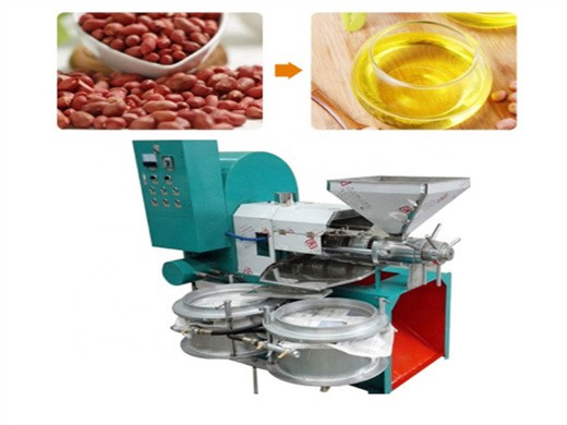 hot cold automatic oil press machine nut seed oil in egypt