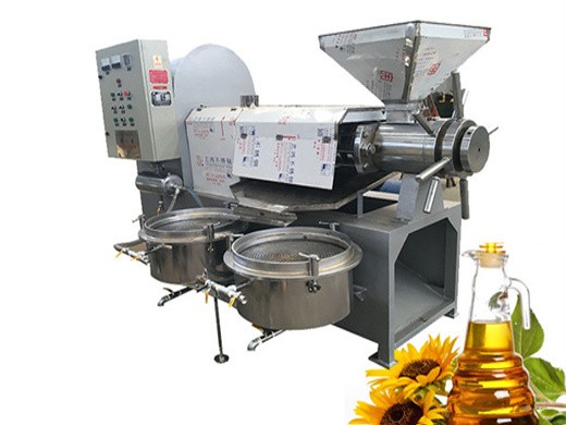 hot sale cold press oil machine for peanut oil