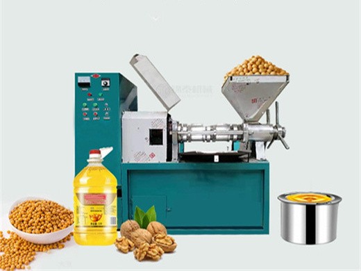 6ly screw type automatic cold press soybean seeds oil press