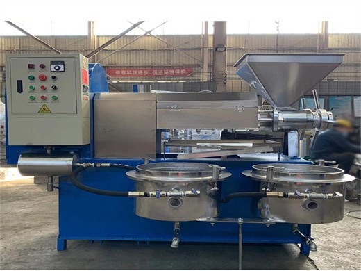 fully automatic screw type 20kg/h cold press groundnut oil expeller