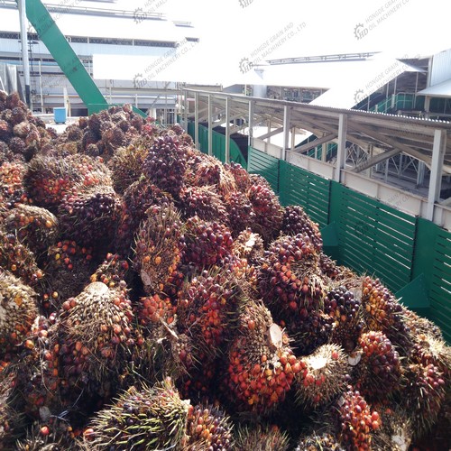 big scale palm fruit oil production processing palm oil in sri lanka