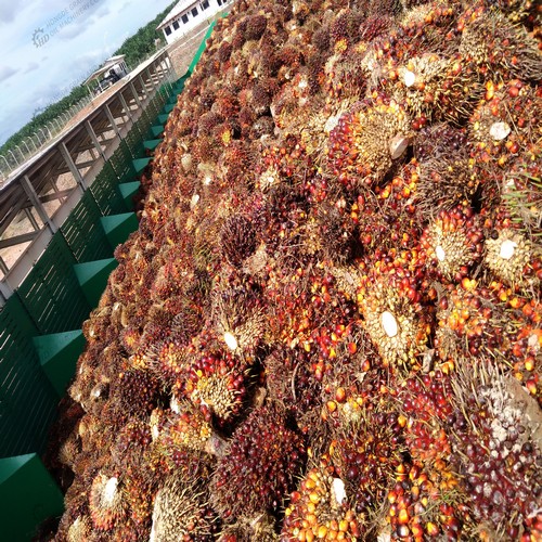 traditional weighting palm oil machines price list