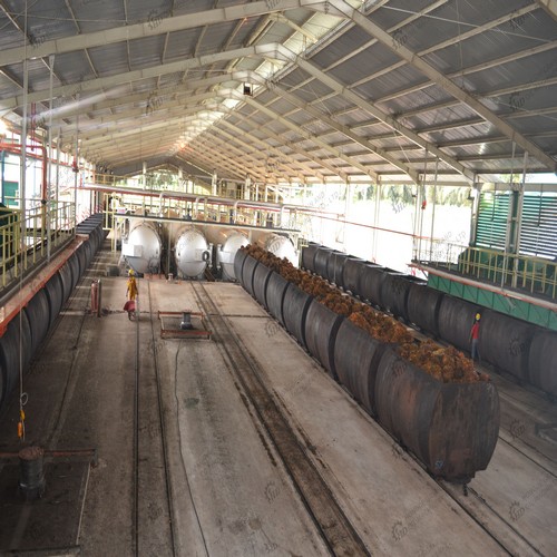 palm oil production process in sri lanka