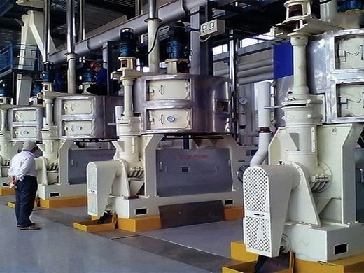 intelligent temperature control plant oil press machine sunflower with tanzania