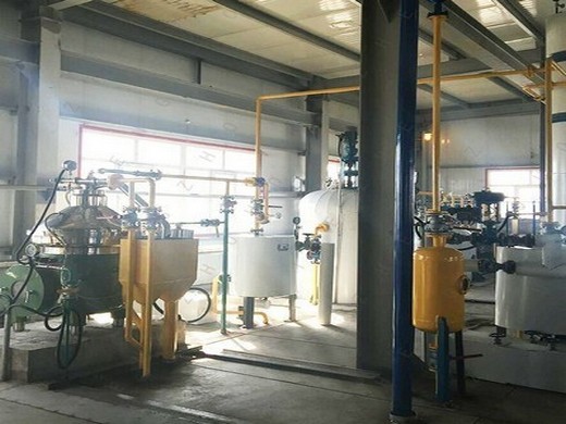 large scale rice bran oil processing plant cost rice