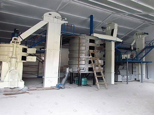 2024 hot sale automatic big screw oil production line machine