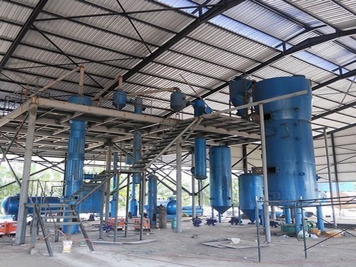 china best vegetable oil extraction plant machine in congo