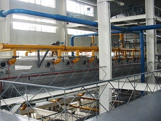 hot tea seed/soybean oil production line with good results