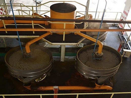 mustard oil extraction plant project report china in belgium