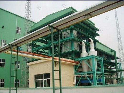 press production line big peanut oil production line