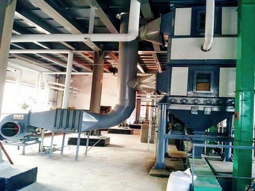 sesame black seed oil mill machine