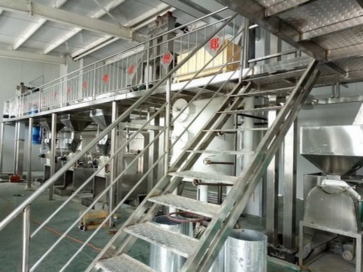 high quality coconut sesame oil production line gzs13s1