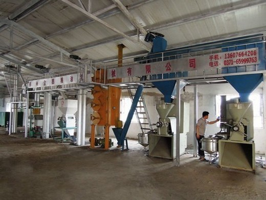 2024 very hot soybean seeds screw oil press machine/mill in vietnam