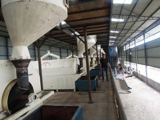 establish a big scale sunflower oil production line design