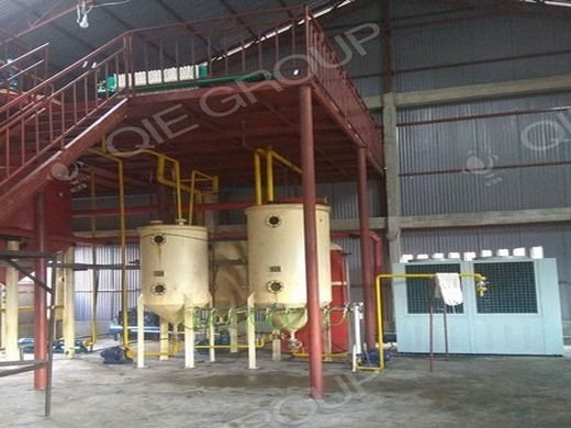 hot screw big sunflower oil production line