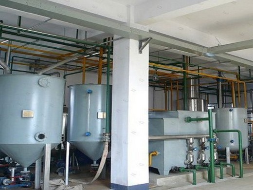 automatic continuous sunflower oil plant in cameroon