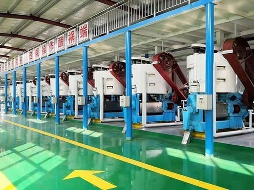 machine groundnut oil production line