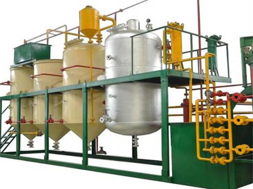 coconut big scale palm oil refining machinery machine in africa