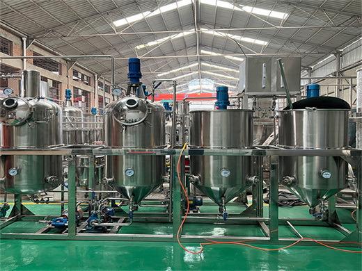 3tpd soybean oil refining plant with argentina