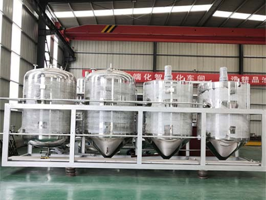 china 100tpd edible palm oil refinery equipment for malaysia oil