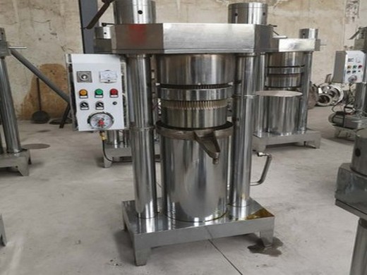 220v 110v heat and cold oil press machine pinenut