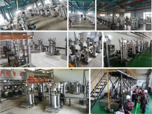 corn germ oil extraction machinery equipment manufacturers