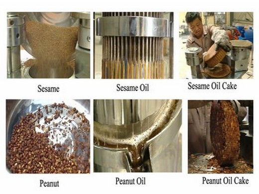 argan seed oil press production line machine palestine