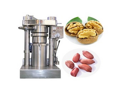 china pumpkin seed oil press machine oil press expeller